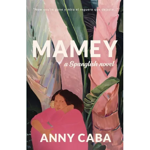Mamey: a Spanglish Novel - Paperback