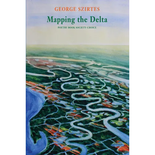 Mapping the Delta - Paperback