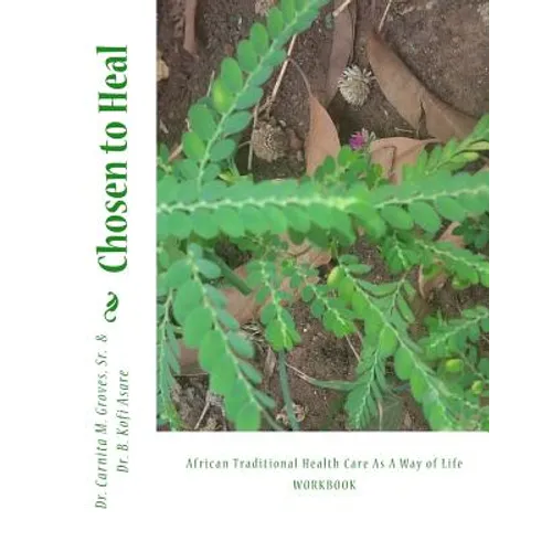 Chosen to Heal: African Traditional Health Care As A Way of Life - Paperback