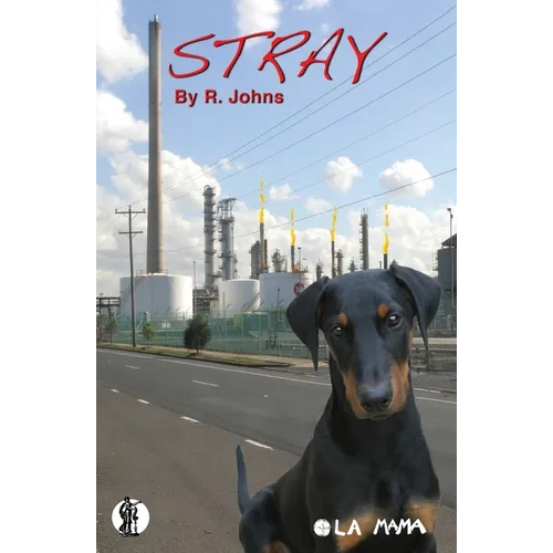 Stray and The Parricide - Paperback