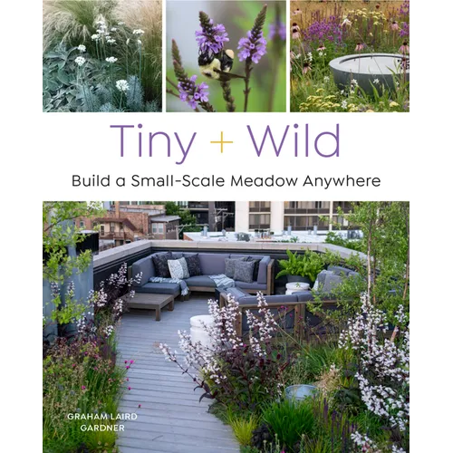 Tiny and Wild: Build a Small-Scale Meadow Anywhere