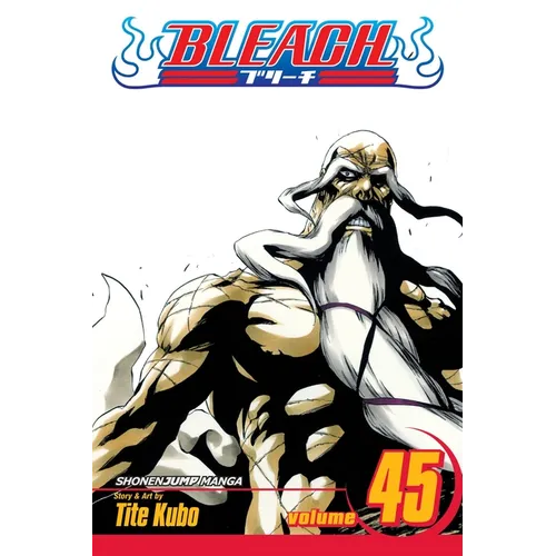 Bleach, Vol. 45: The Burnout Inferno - Paperback