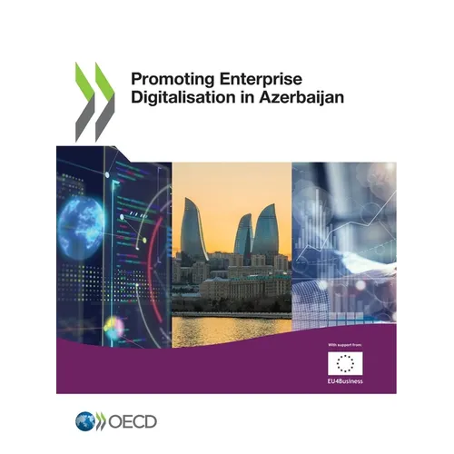 Promoting Enterprise Digitalisation in Azerbaijan - Paperback
