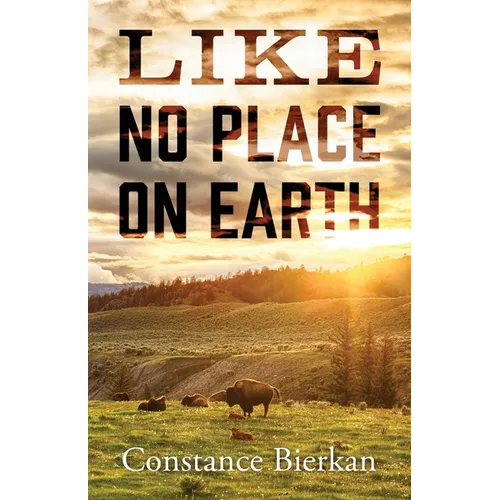 Like No Place on Earth - Paperback