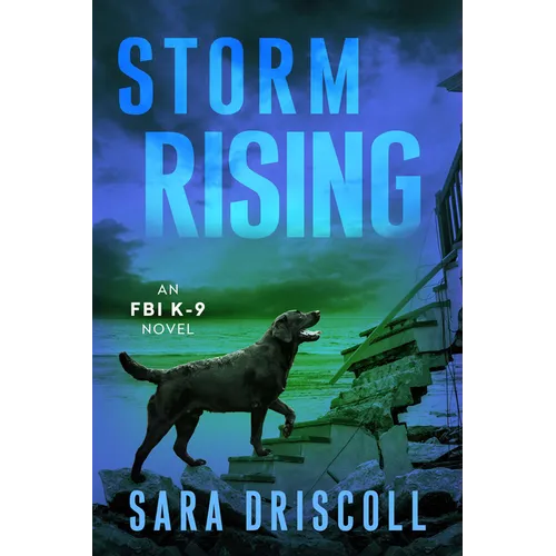 Storm Rising - Paperback