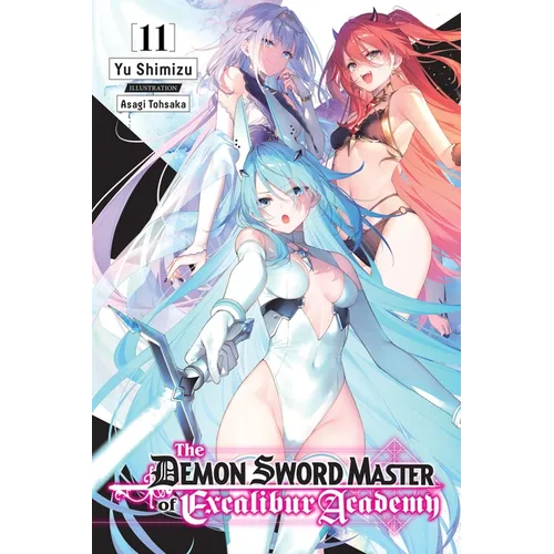The Demon Sword Master of Excalibur Academy, Vol. 4 (Light Novel): Volume 4 - Paperback