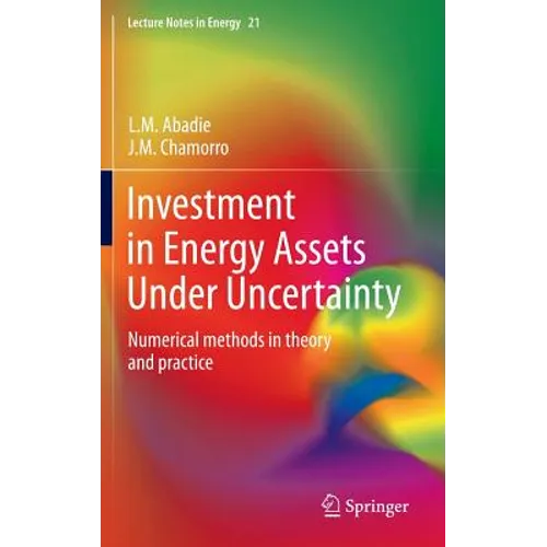 Investment in Energy Assets Under Uncertainty: Numerical Methods in Theory and Practice - Hardcover