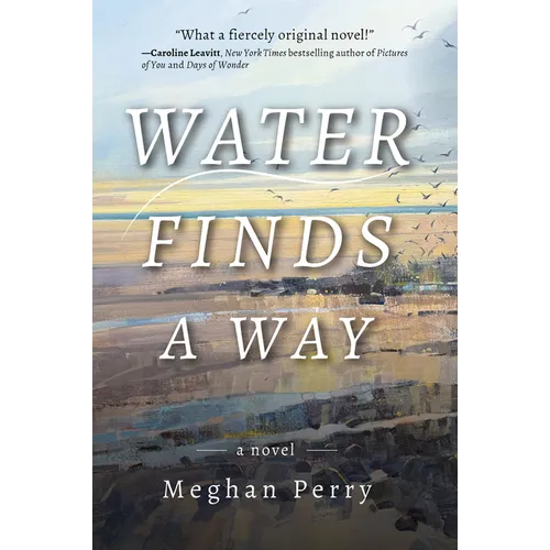 Water Finds a Way a Novel - Paperback