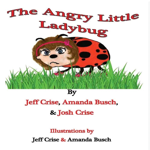 The Angry Little Ladybug - Paperback
