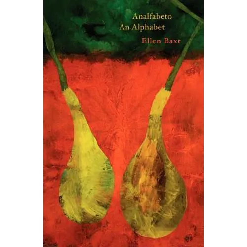Analfabeto - Paperback