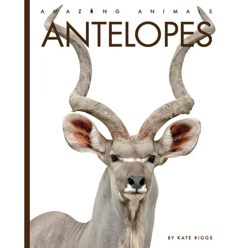 Antelopes - Paperback