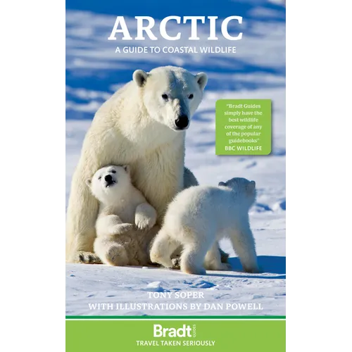 Arctic: A Guide to Coastal Wildlife - Paperback