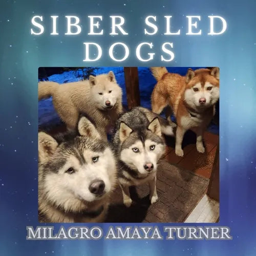 Siber Sled Dogs - Paperback