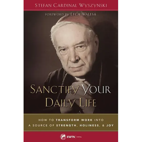 Sanctify Your Daily Life: How to Transform Work Into a Source of Strength, Holiness, and Joy - Paperback