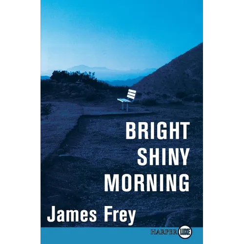 Bright Shiny Morning - Paperback