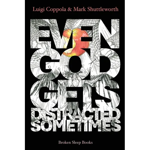 Even God Gets Distracted Sometimes - Paperback