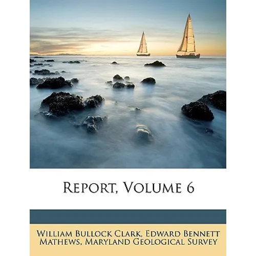 Report, Volume 6 - Paperback