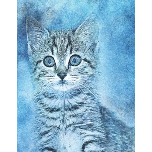 Cat lovers Sketch Book: with 20 cat coloring pages to color, paint, doodle, and sketch . for all cat lovers, 8.5 x 11 - Paperback