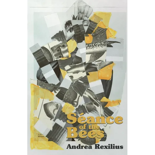 Séance of the Bees - Paperback