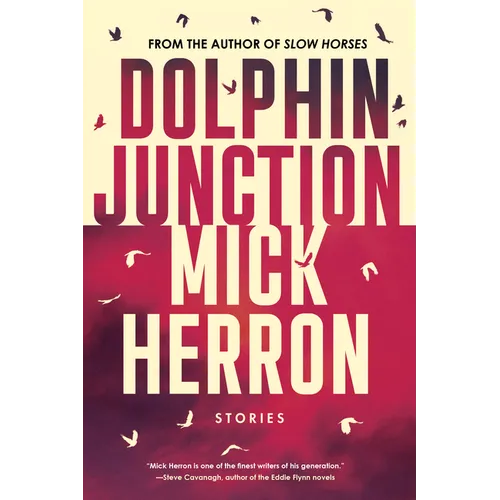 Dolphin Junction: Stories - Paperback