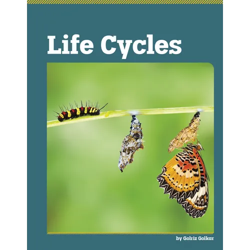 Life Cycles - Library Binding