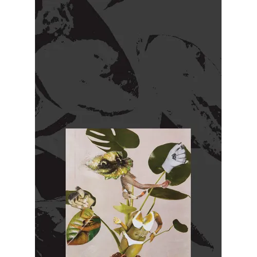 Kandis Williams: A Surface