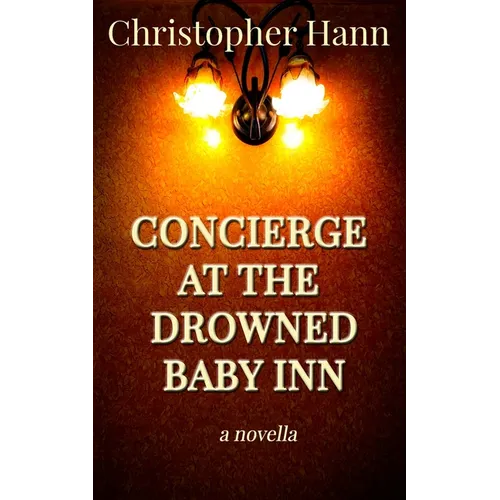 Concierge at the Drowned Baby Inn - Paperback