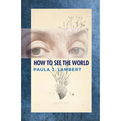 How to See the World: Poems - Paperback