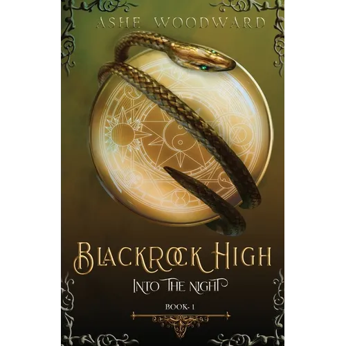 Blackrock High: Into the Night (The Blackrock High Trilogy: Book One) - Paperback
