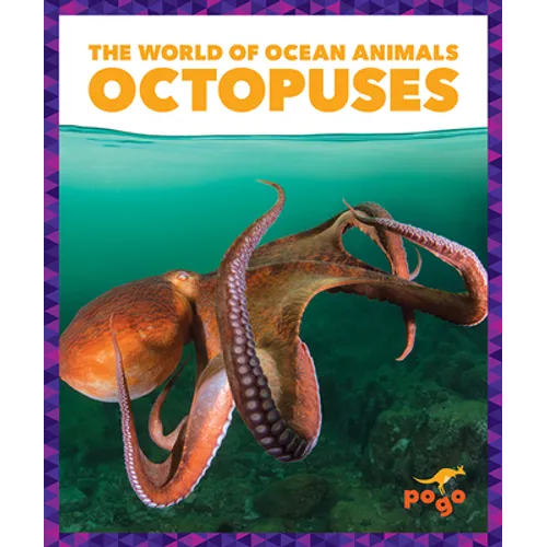 Octopuses - Paperback