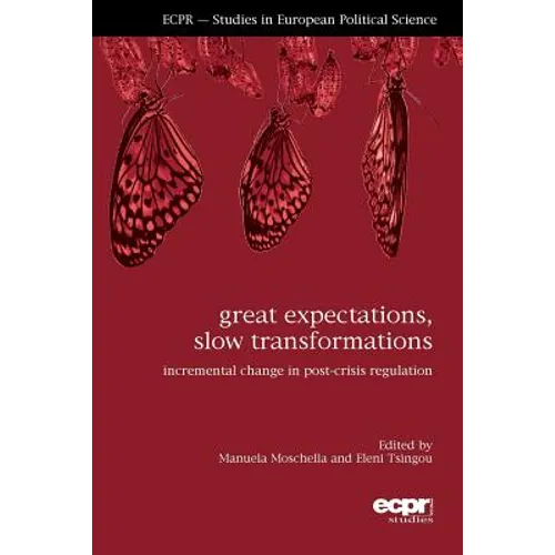 Great Expectations, Slow Transformations: Incremental Change in Post-Crisis Regulation - Paperback
