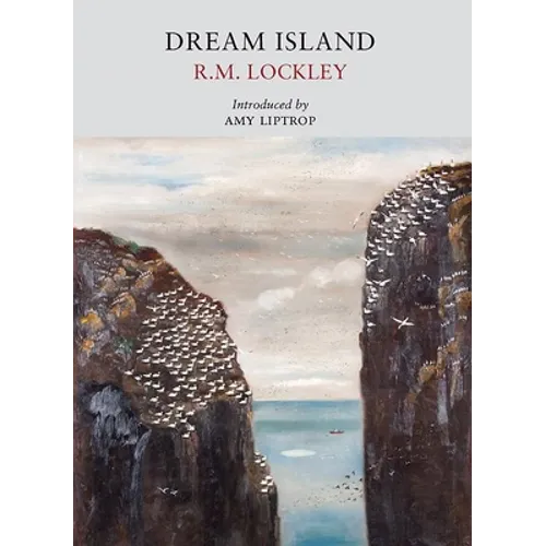 Dream Island - Paperback