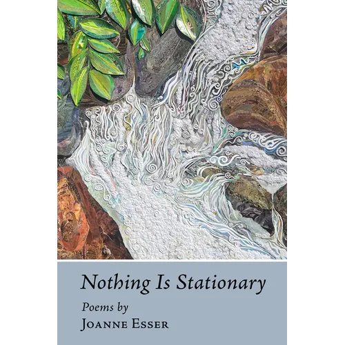 Nothing Is Stationary - Paperback