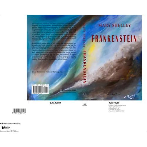 Frankenstein - Paperback