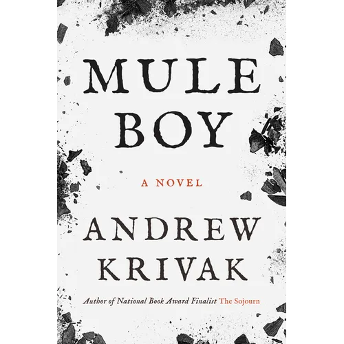 Mule Boy - Paperback