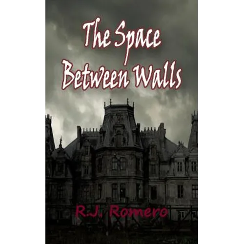 The Space Between Walls - Paperback