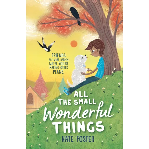 All the Small Wonderful Things - Paperback