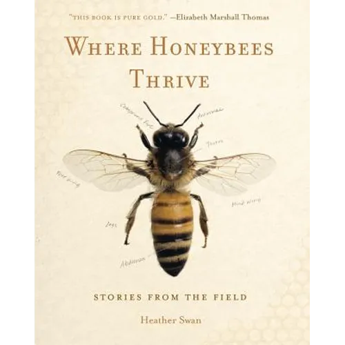 Where Honeybees Thrive: Stories from the Field - Paperback