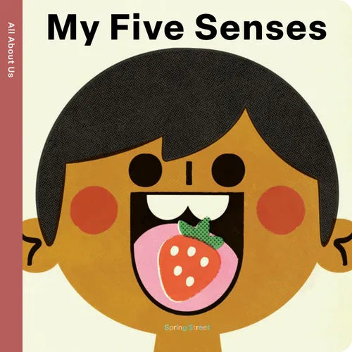 Spring Street All about Us: My Five Senses - Board Book