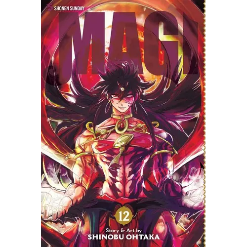 Magi: The Labyrinth of Magic, Vol. 12: The Labyrinth of Magic - Paperback