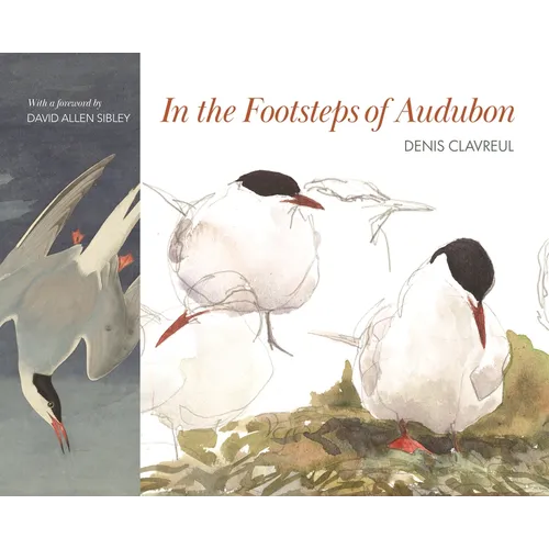 In the Footsteps of Audubon - Hardcover