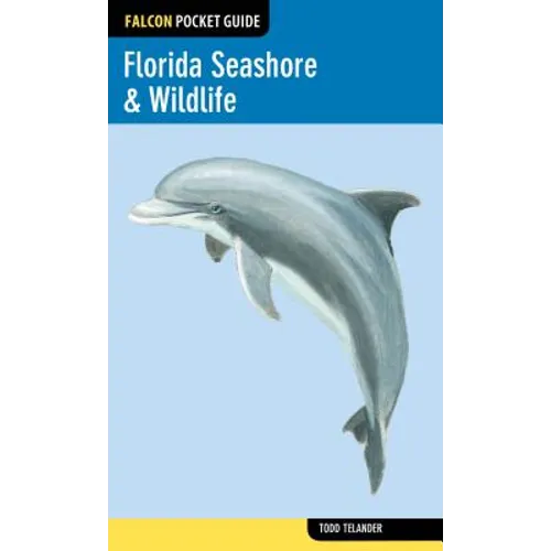 Florida Seashore & Wildlife - Paperback