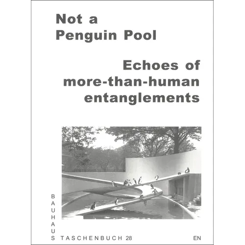 Not a Penguin Pool: Echoes of More-Than-Human Entanglements - Paperback