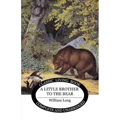 Little Brother to the Bear - Paperback