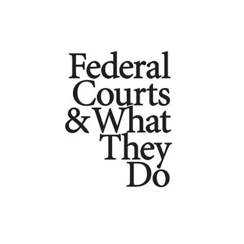 Federal Courts & What They Do - Paperback