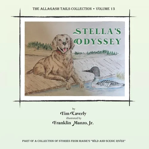 Stella's Odyssey - Paperback
