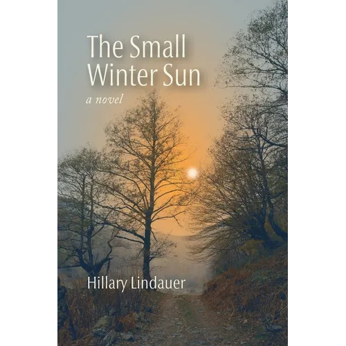 The Small Winter Sun - Paperback