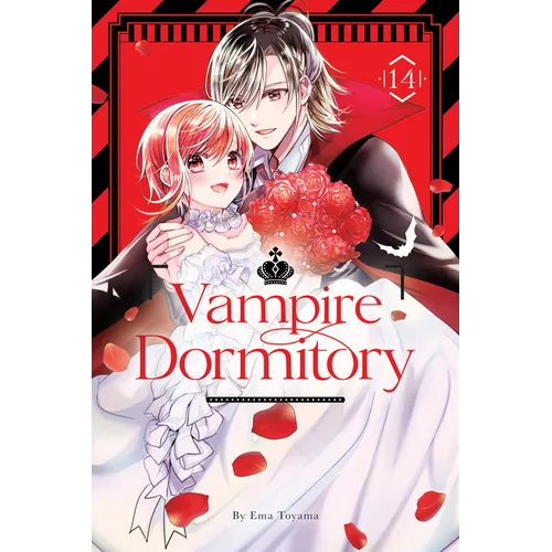 Vampire Dormitory 14 - Paperback