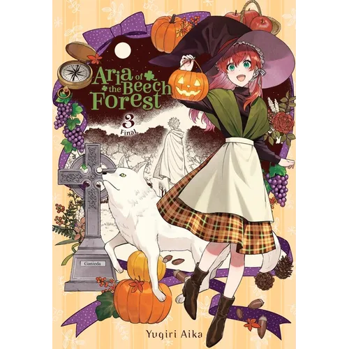 Aria of the Beech Forest, Vol. 3 - Paperback