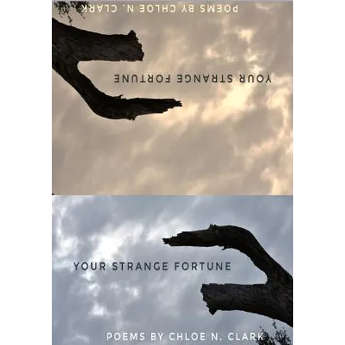 Your Strange Fortune - Paperback